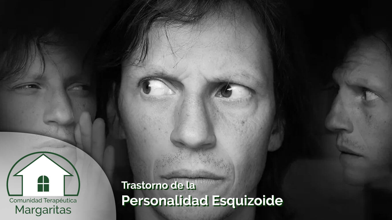 Trastorno de la Personalidad Esquizoide