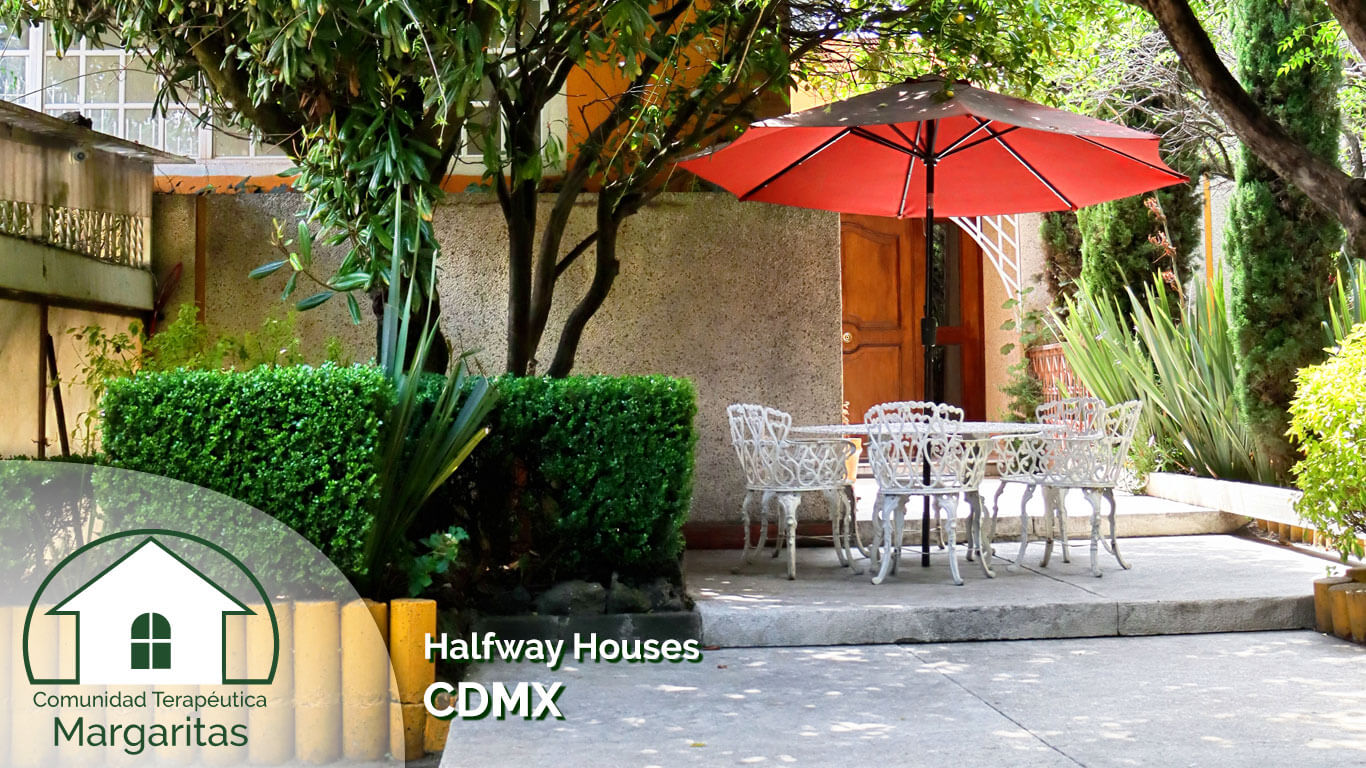 Halfway Houses CDMX
