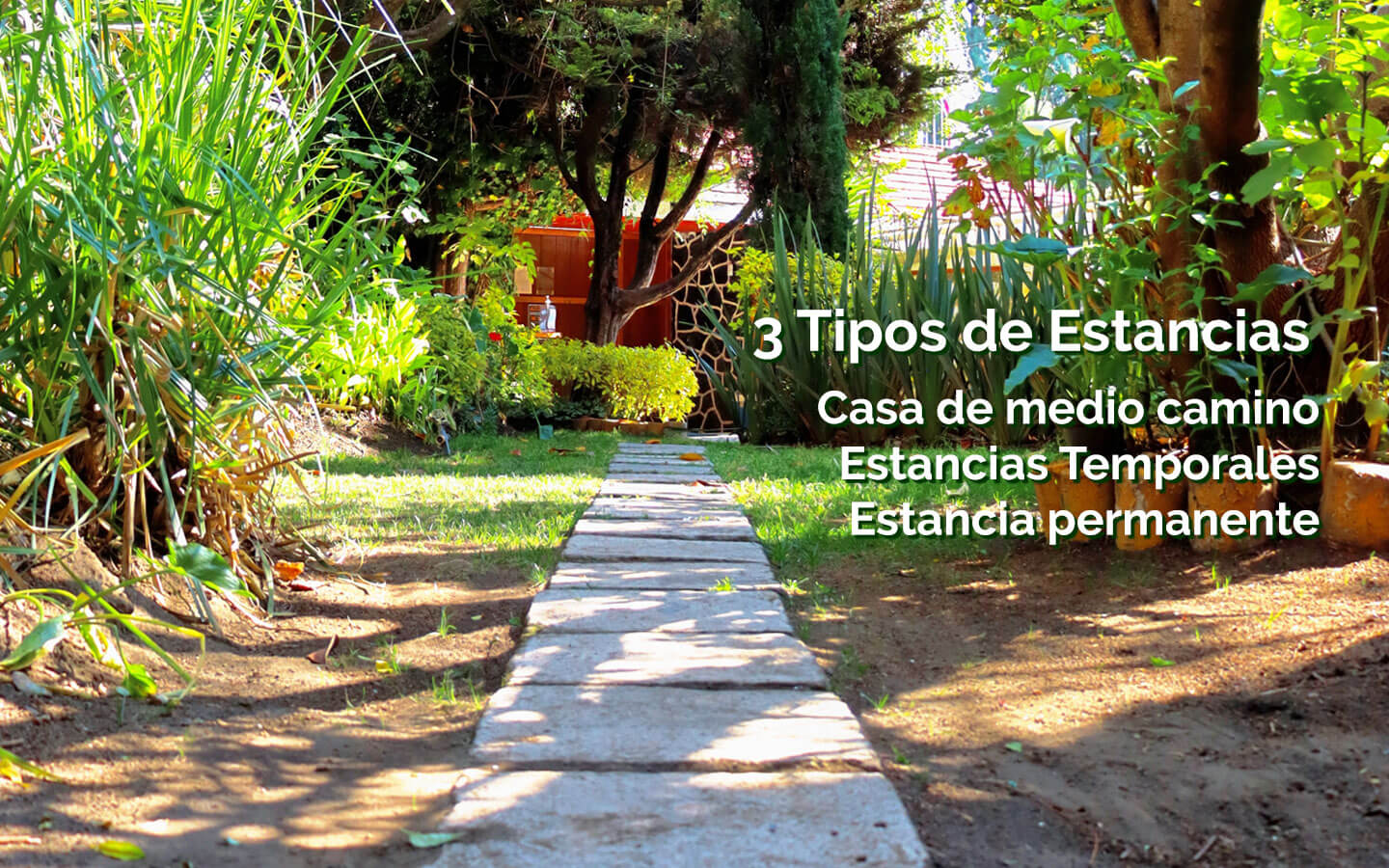 Clínica de Salud Mental México Clínica de Salud Mental México